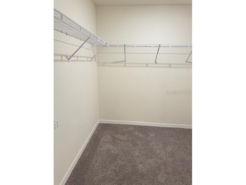 8189 County Line Road Spring Hill FL 34606 O6349692 image37