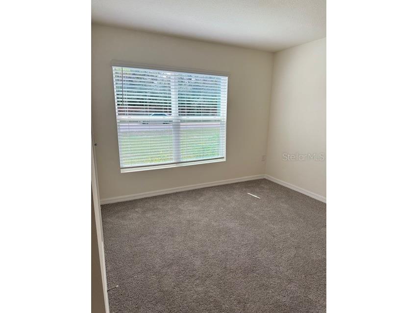 8189 County Line Road Spring Hill FL 34606 O6349692 image4