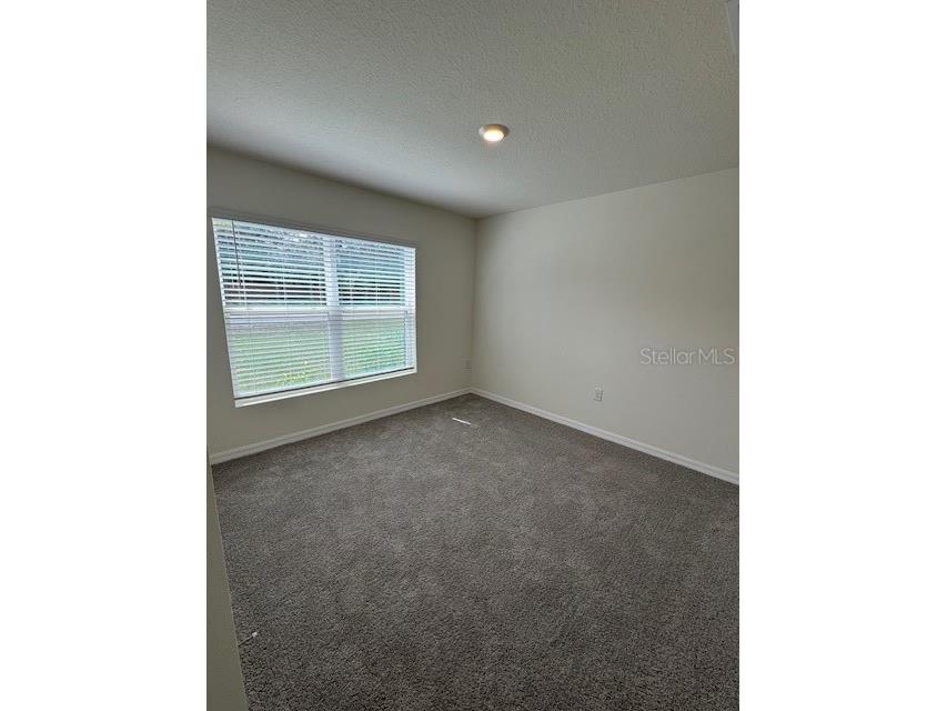 8189 County Line Road Spring Hill FL 34606 O6349692 image6