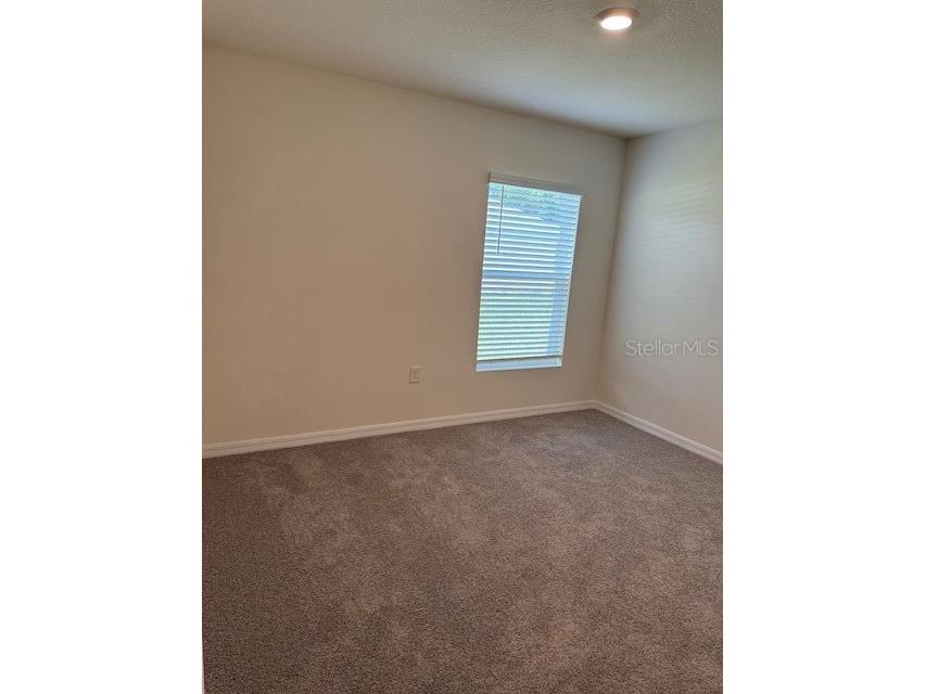 8189 County Line Road Spring Hill FL 34606 O6349692 image8