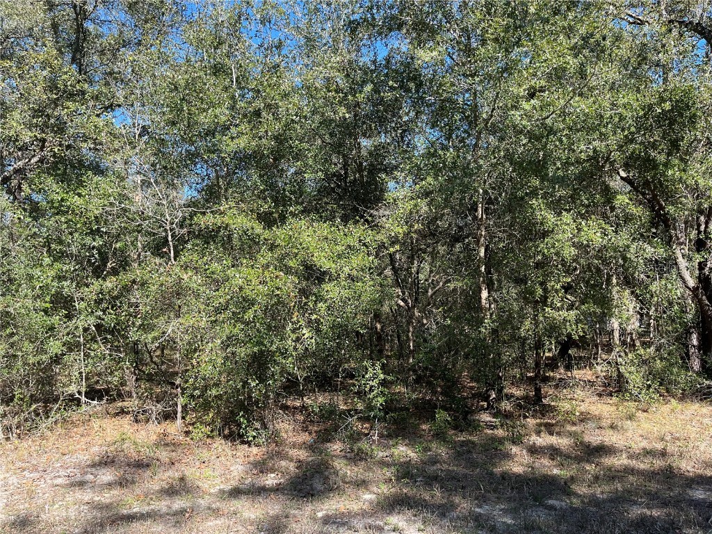 8189 W Carlos Lane Crystal River FL 34428 OK222462 image1