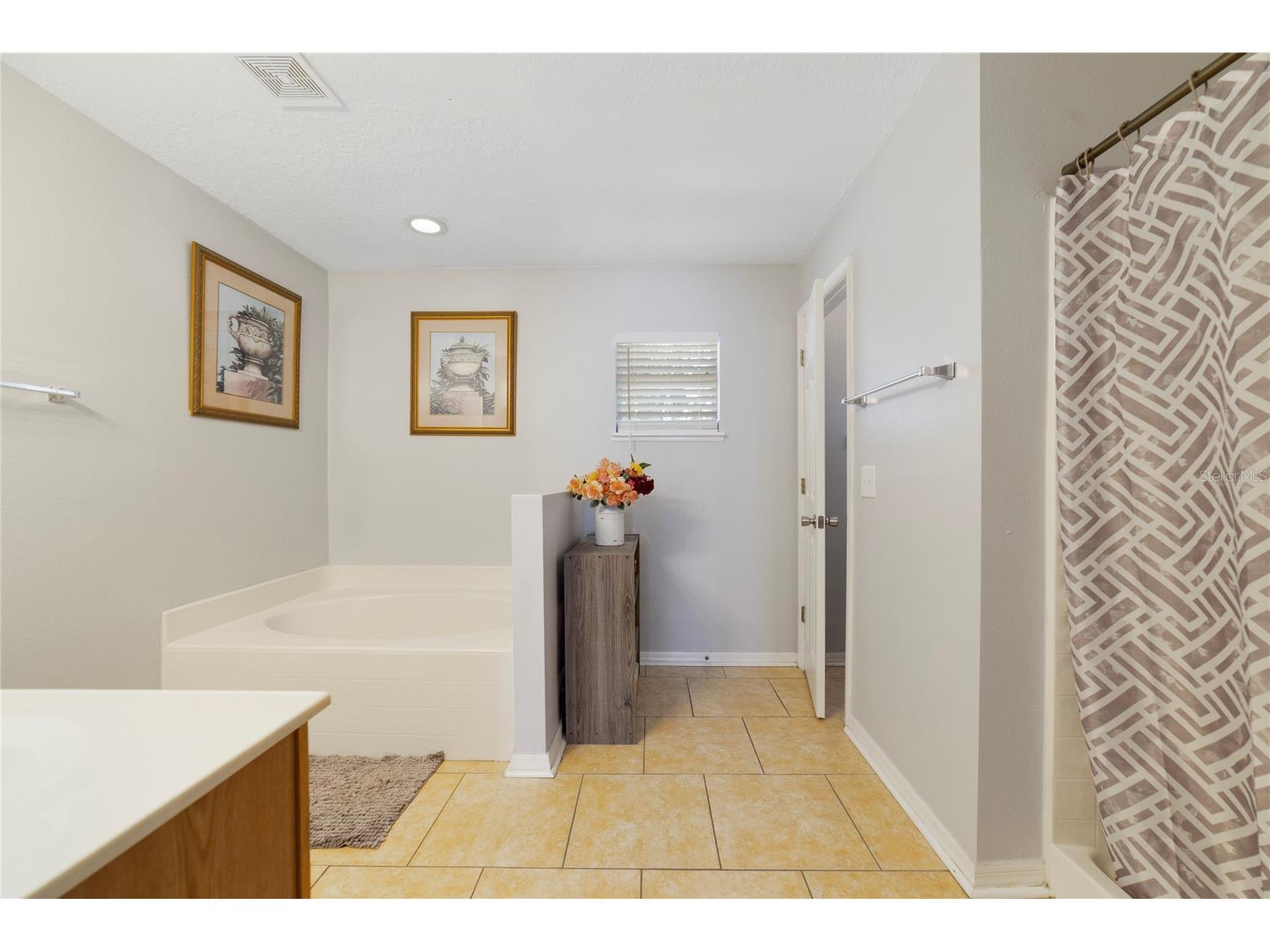 819 Abbeville Court Kissimmee FL 34759 O6382443 image19