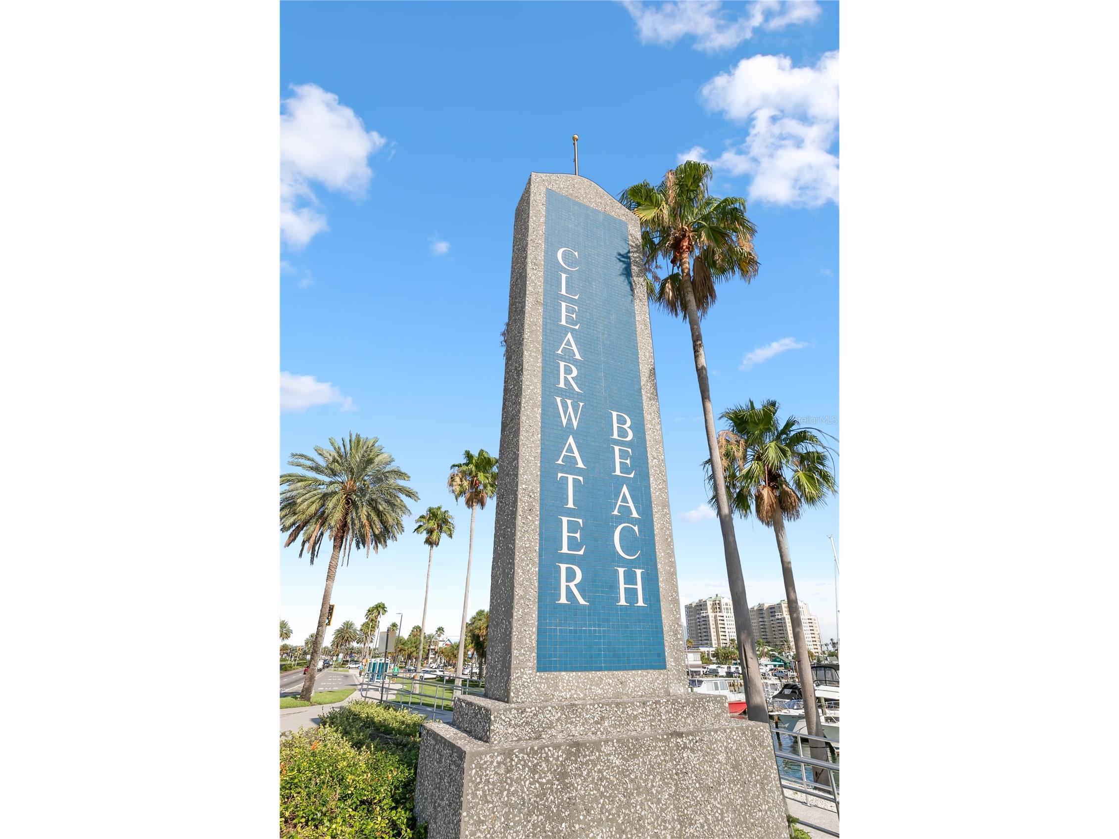 819 Bay Esplanade Clearwater Beach FL 33767 - MANDALAY CHANNEL TB8518596 image85