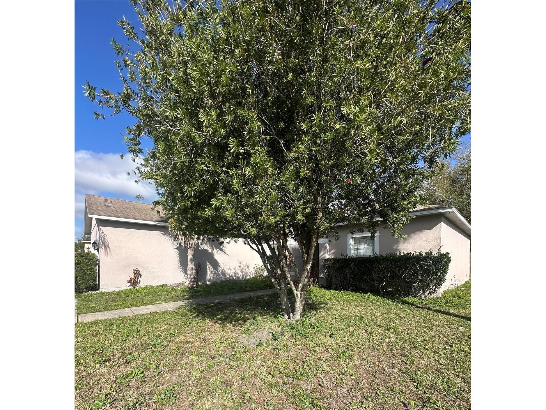 819 Cabaret Court Kissimmee FL 34759 O6394604 image20