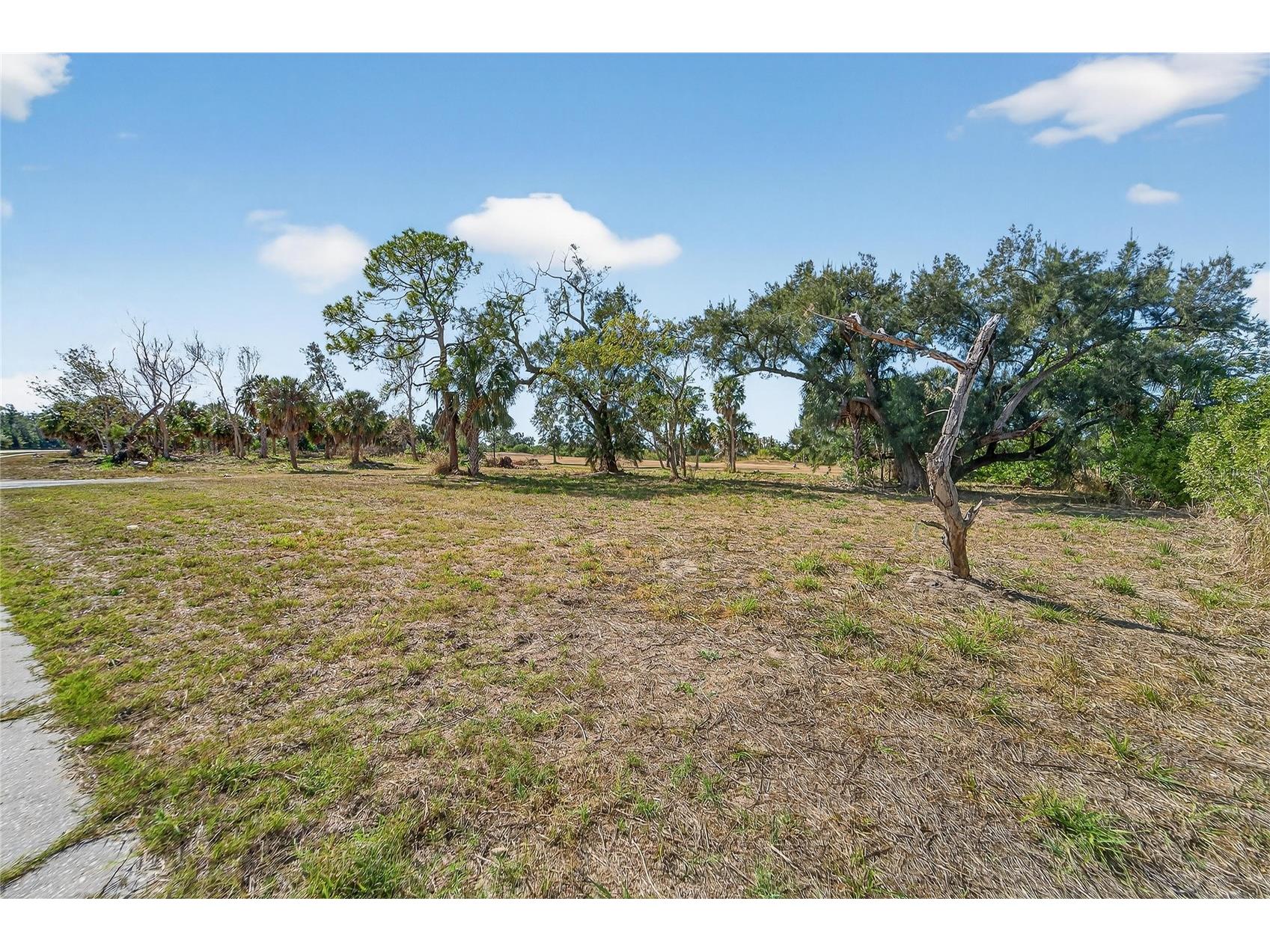 819 Golf And Sea Boulevard Apollo Beach FL 33572 TB8467537 image12
