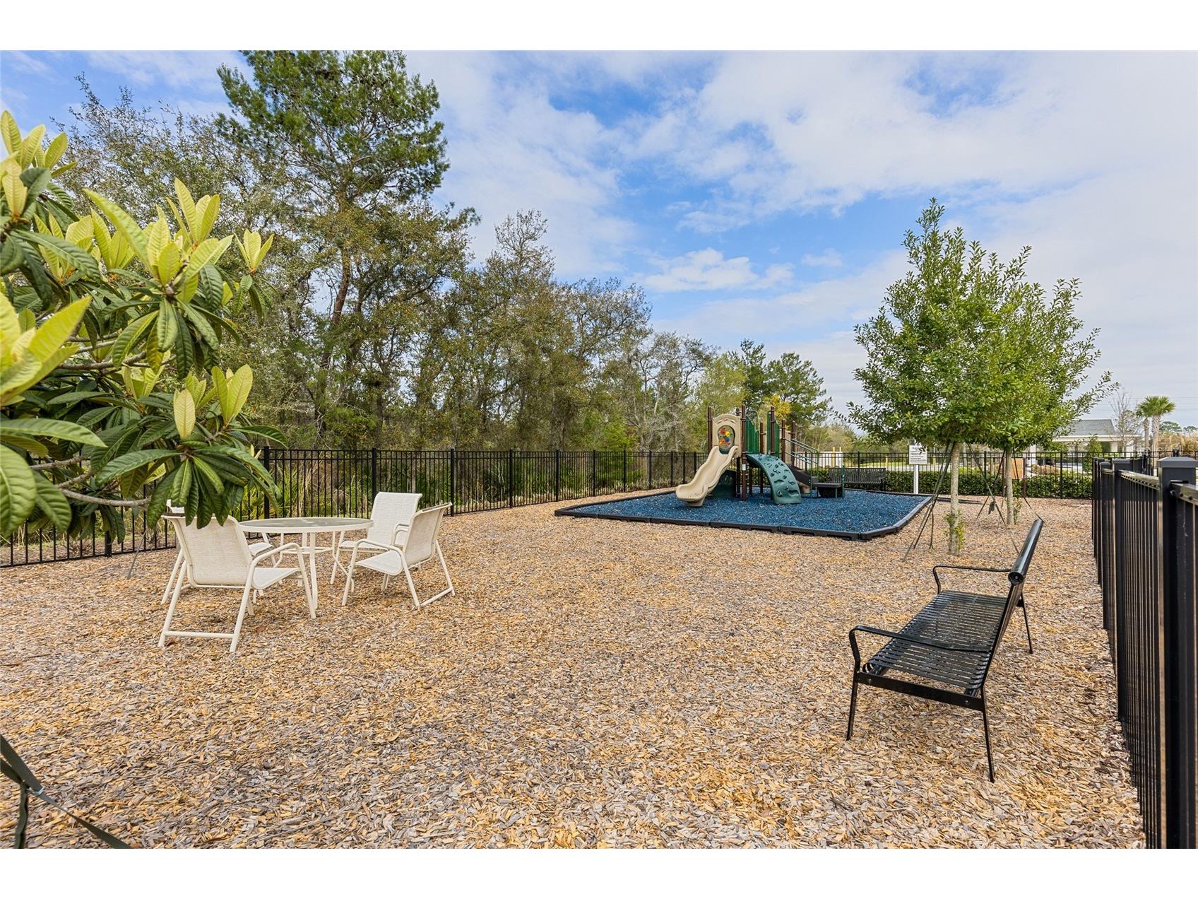 819 Liliana Drive Deland FL 32724 O6400873 image30