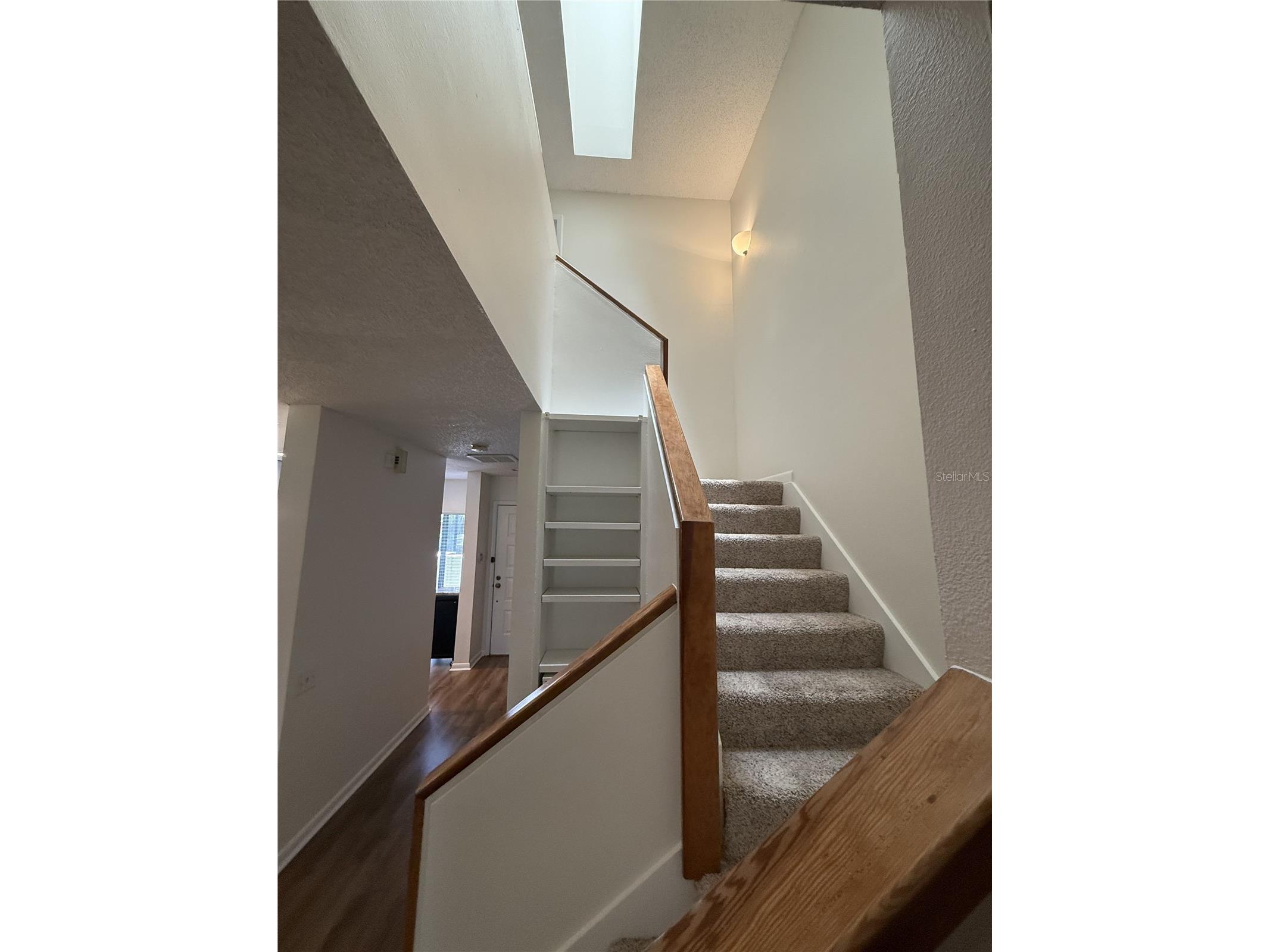 819 Oak Park Place Brandon FL 33511 TB8506110 image10