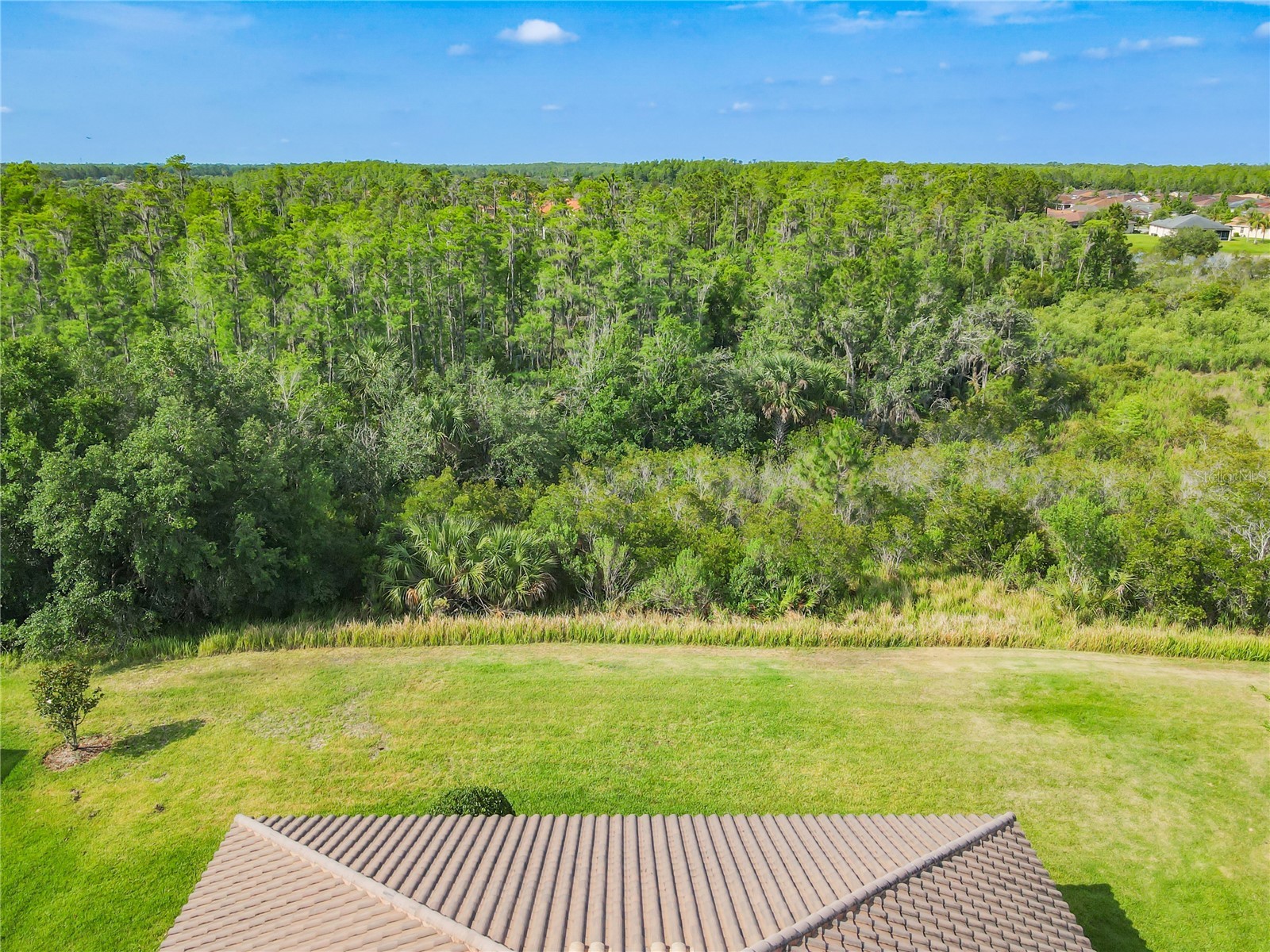 819 San Raphael Street Kissimmee FL 34759 S5144376 image56