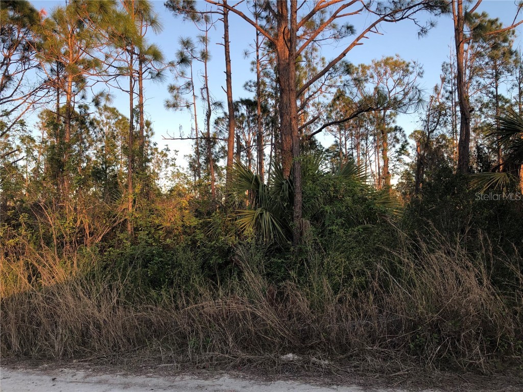 8190 Gewant Boulevard Punta Gorda FL 33982 C7470090 image1