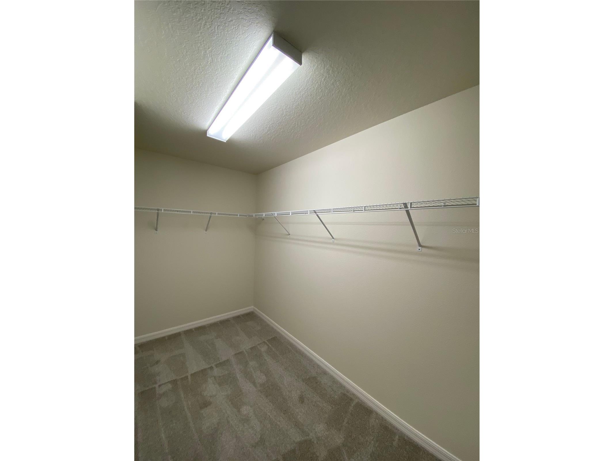8190 N Wakefield Drive Citrus Springs FL 34434 OM724482 image18