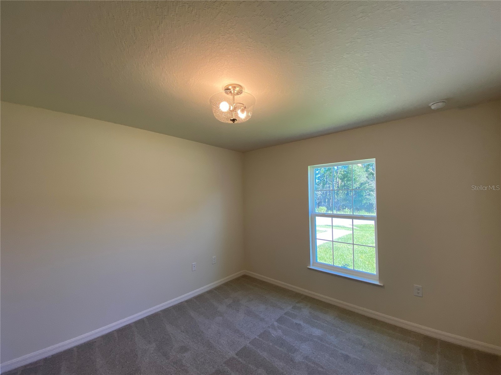 8190 N Wakefield Drive Citrus Springs FL 34434 OM724482 image21