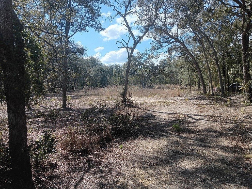 8190 NE 118th Terrace Bronson FL 32621 OM697260 image1