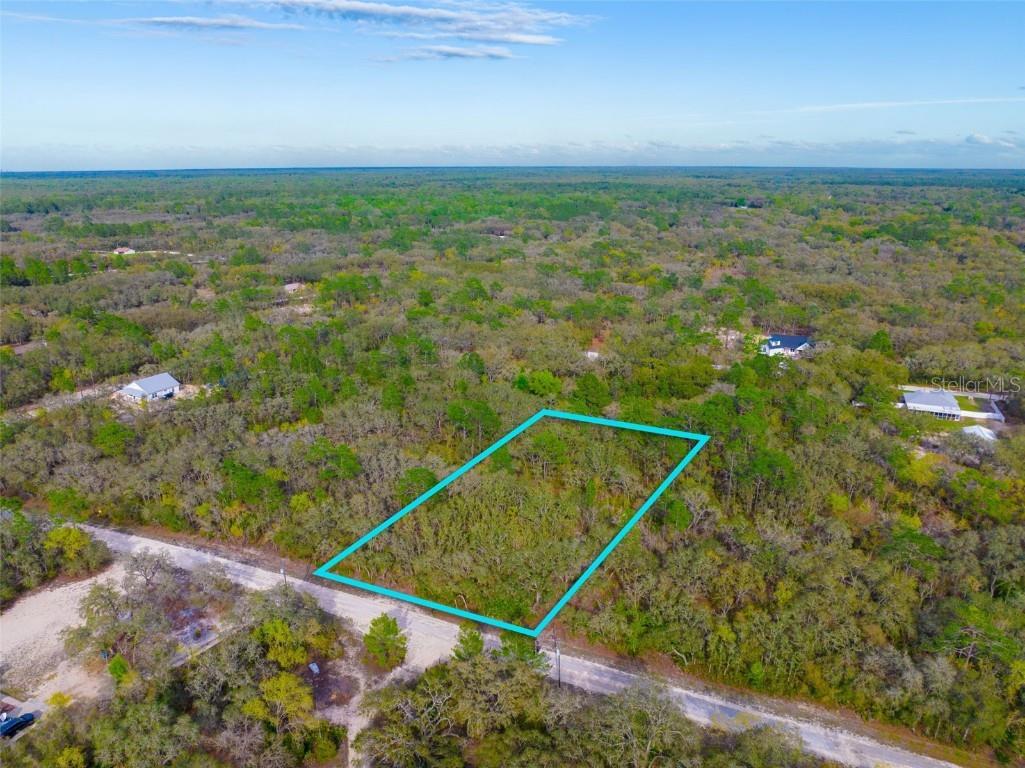 8190 Renova Drive Webster FL 33597 T3510788 image1