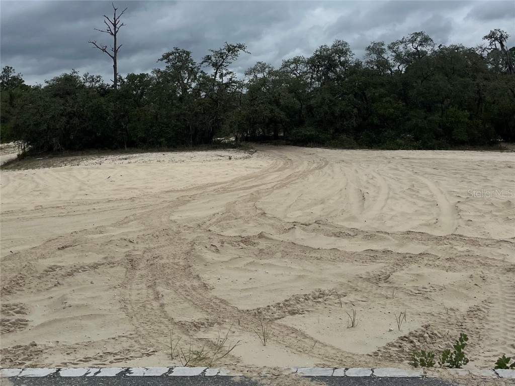 8191 Hardstone Drive Webster FL 33597 G5097983 image1