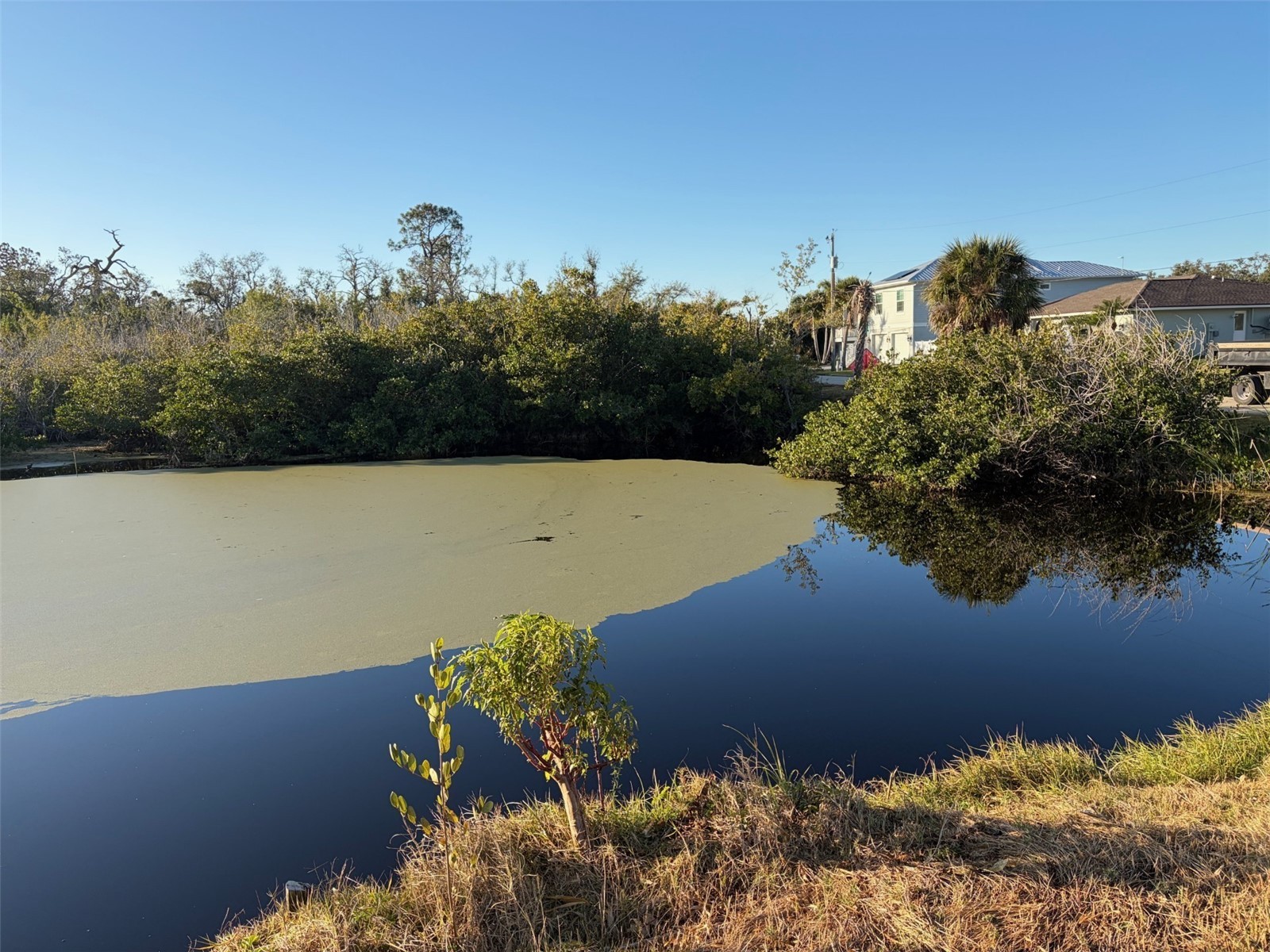 8195 Pine Tree Lane Englewood FL 34224 D6146709 image5