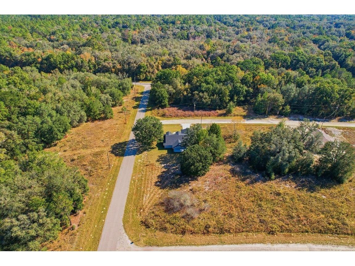 8196 N Terrel Terrace Citrus Springs FL 34434 OM709608 image43