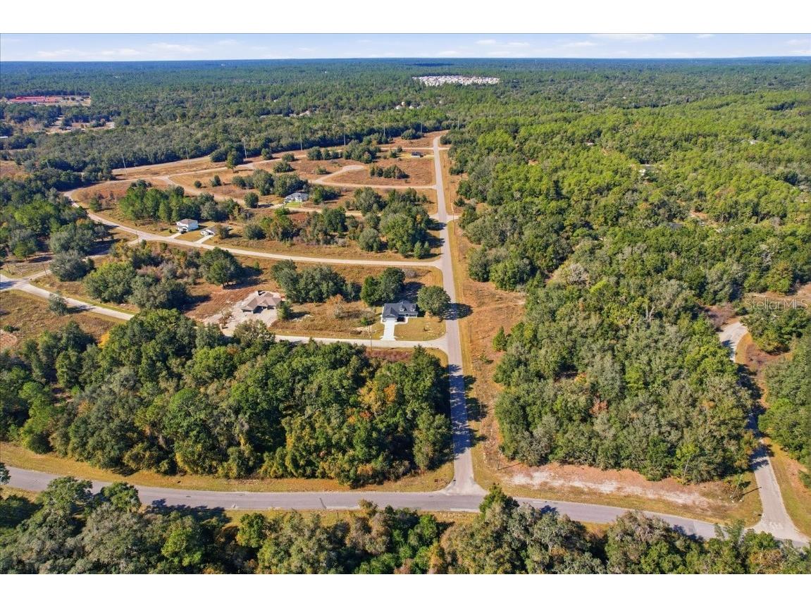 8196 N Terrel Terrace Citrus Springs FL 34434 OM709608 image44