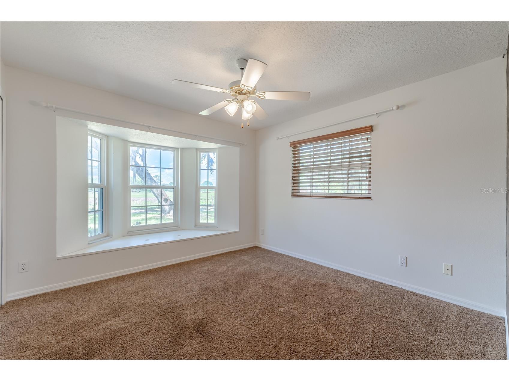 8197 Cr 736 Center Hill FL 33514 O6396366 image28