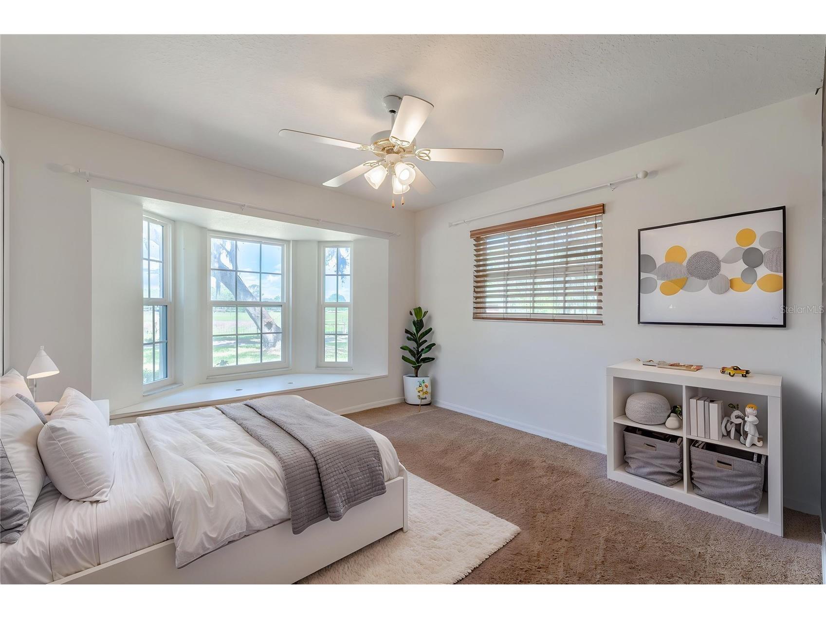 8197 Cr 736 Center Hill FL 33514 O6396366 image29