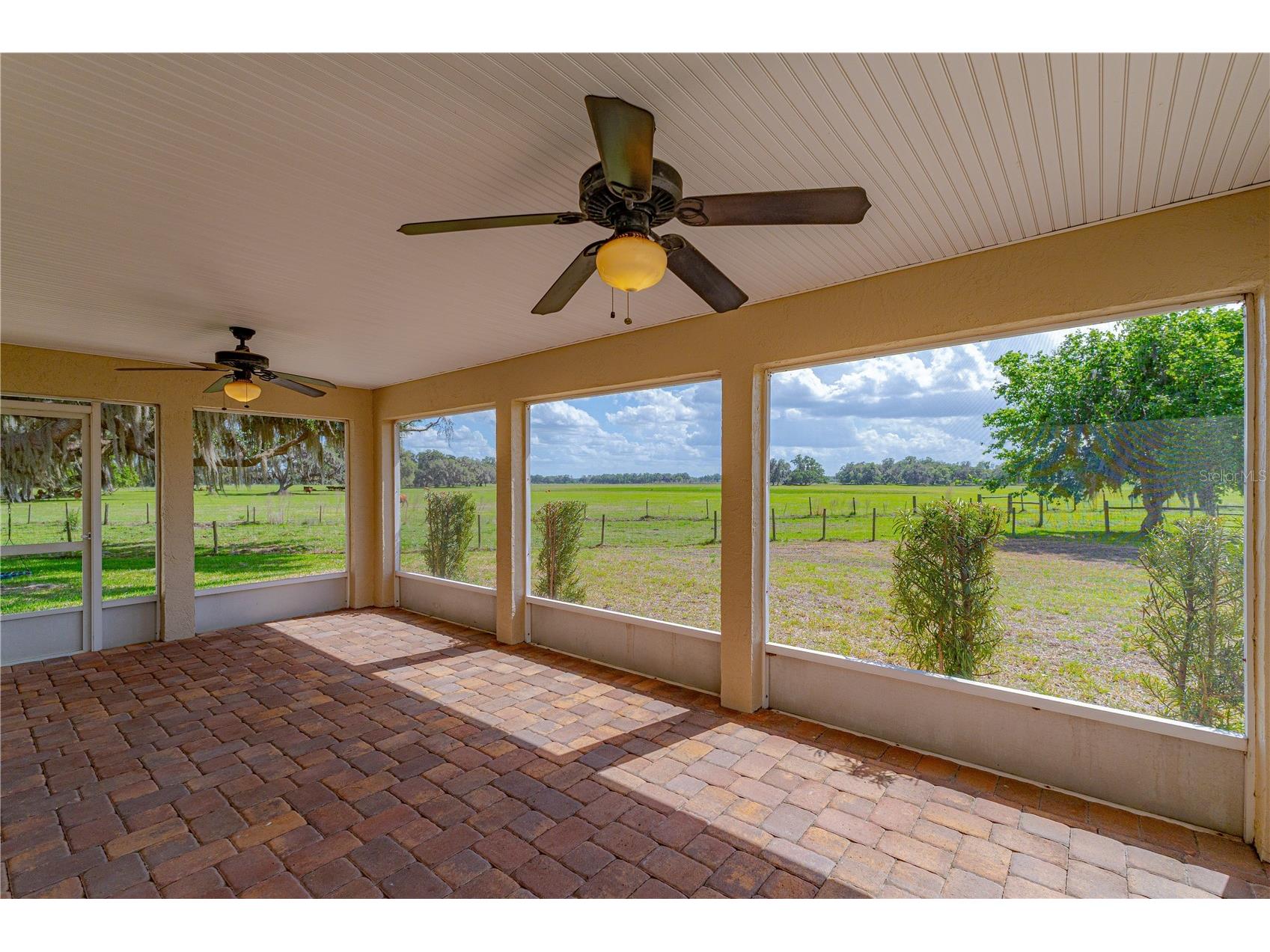 8197 Cr 736 Center Hill FL 33514 O6396366 image34