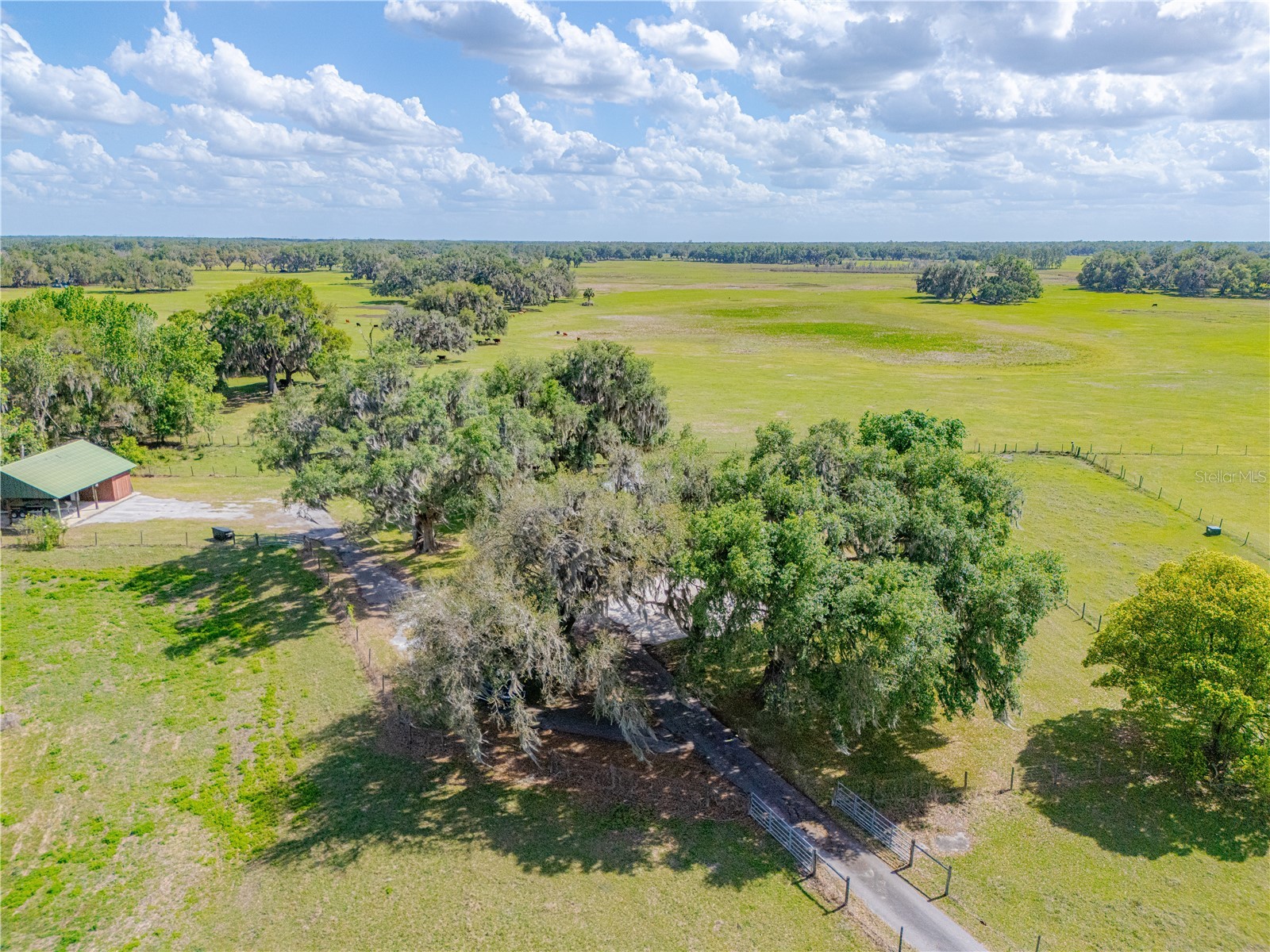 8197 Cr 736 Center Hill FL 33514 O6396366 image57