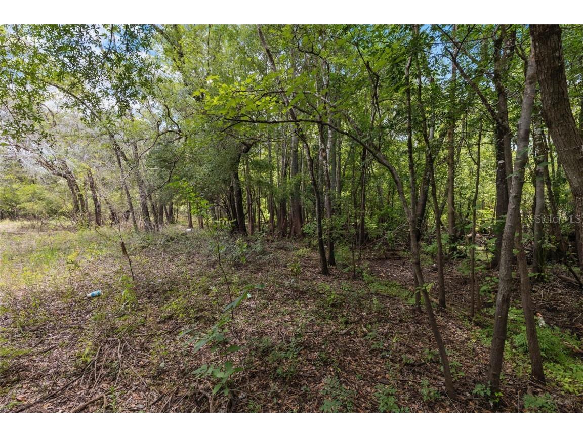 8198 Shasta Street Webster FL 33597 TB8405511 image1