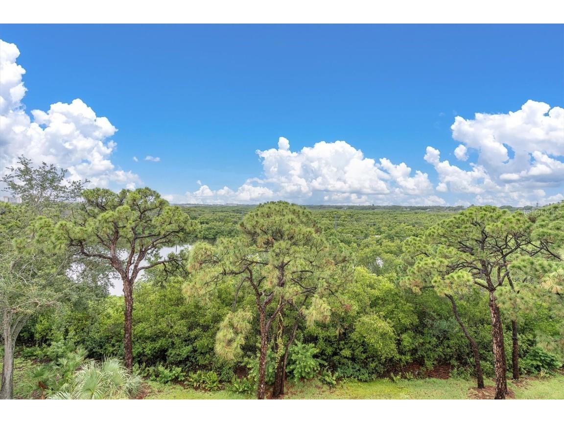 8198 Terrace Garden Drive #511 Saint Petersburg FL 33709 TB8400032 image37