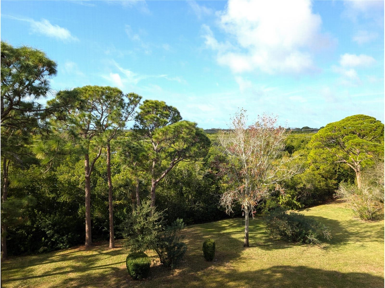 8198 Terrace Garden Drive N #409 Saint Petersburg FL 33709 TB8457614 image25