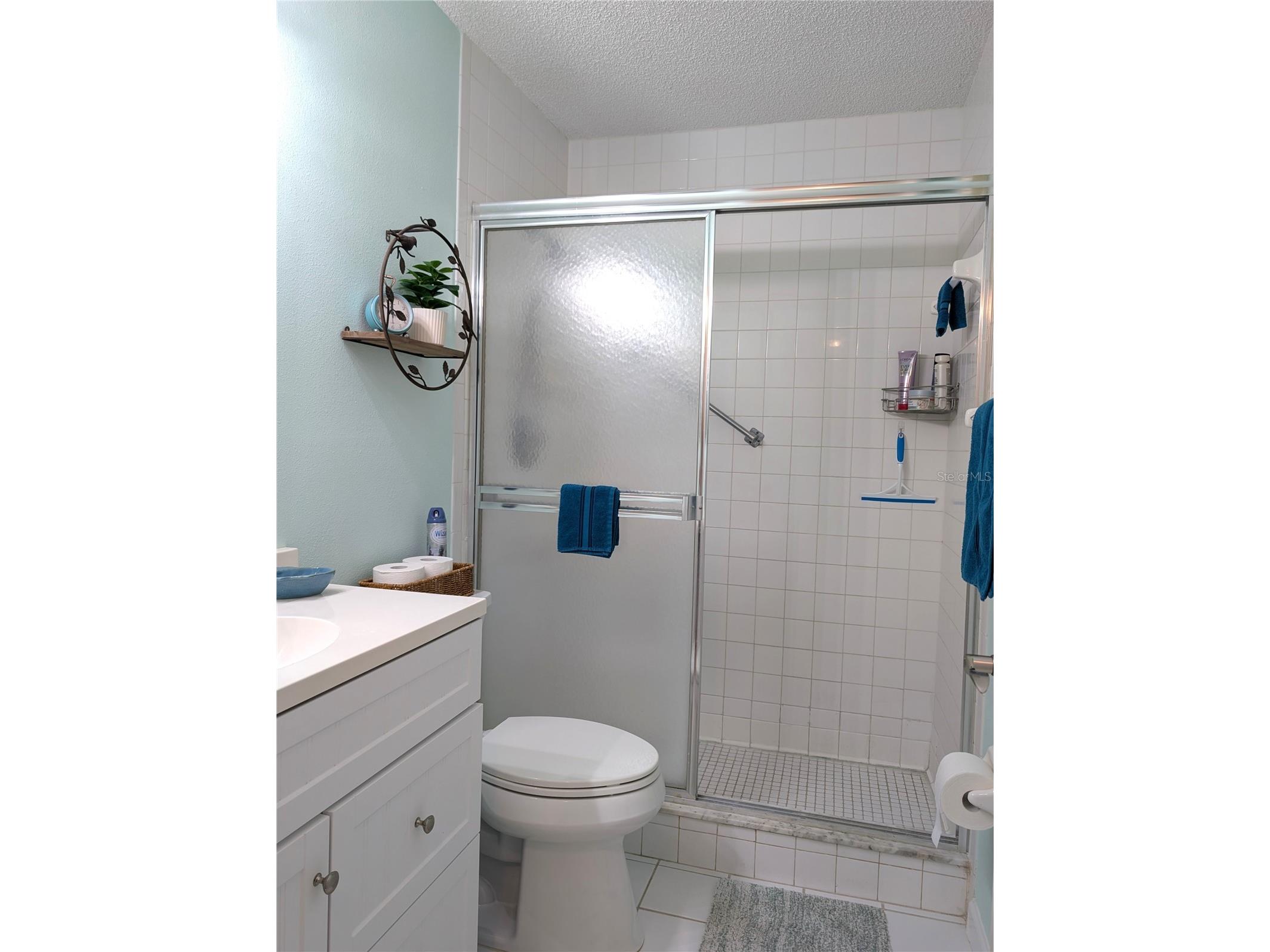 8198 Terrace Garden Drive N #409 Saint Petersburg FL 33709 TB8457614 image36