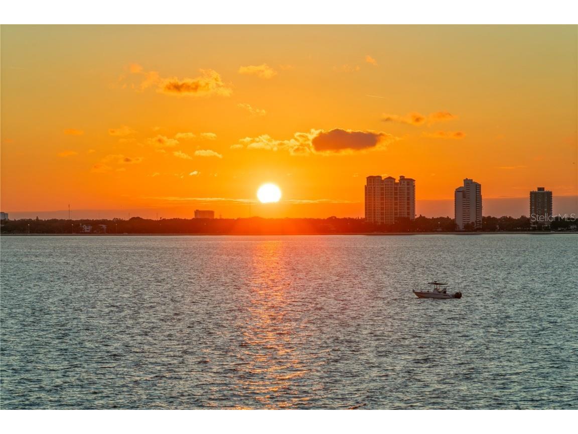 82 Martinique Avenue Tampa FL 33606 TB8446032 image70