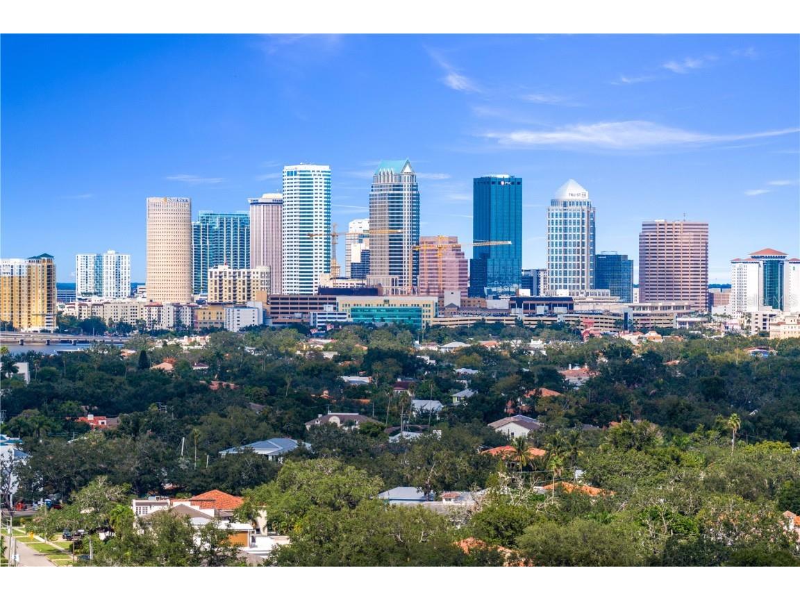 82 Martinique Avenue Tampa FL 33606 TB8446032 image89