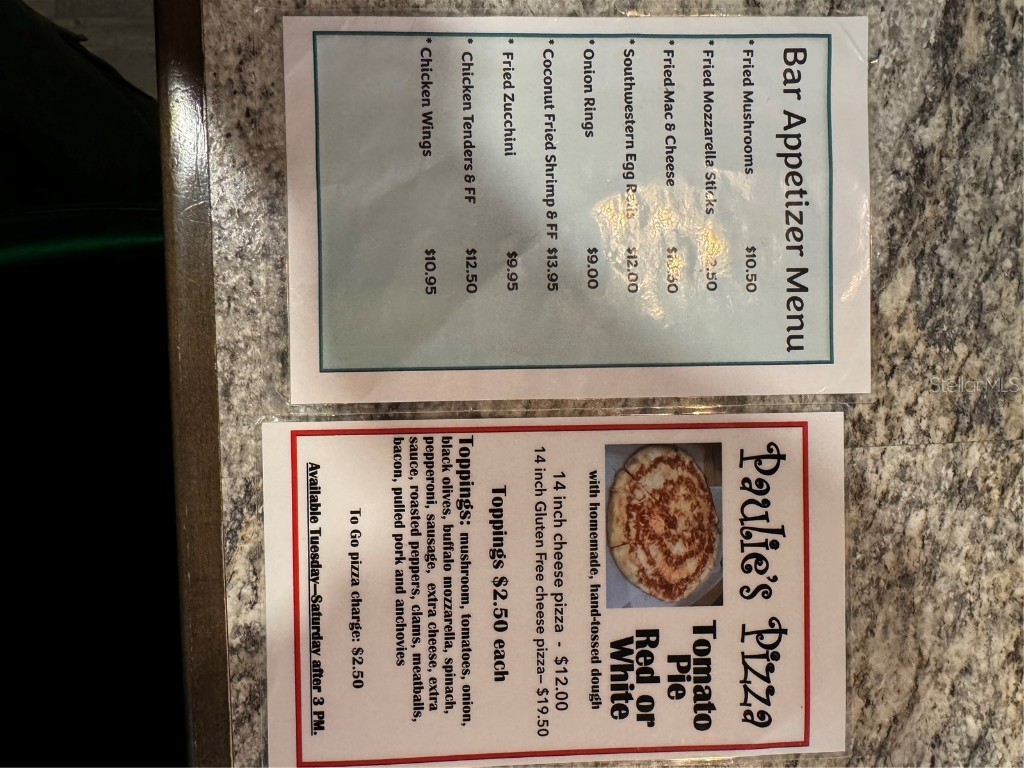 82 N Bobwhite Road Wildwood FL 34785 TB8448699 image37