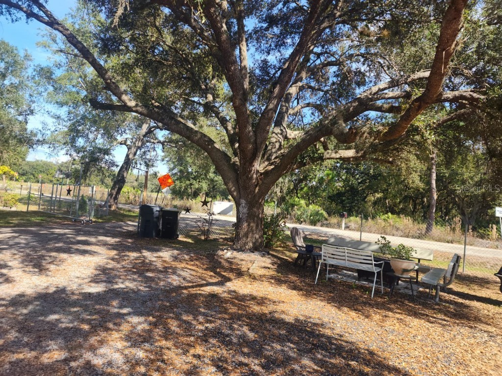 82 Silvio Road Lake Wales FL 33898 S5139342 image8