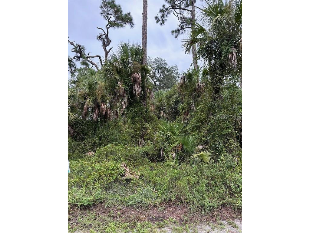 82 Statler Street Port Charlotte FL 33954 C7496999 image1