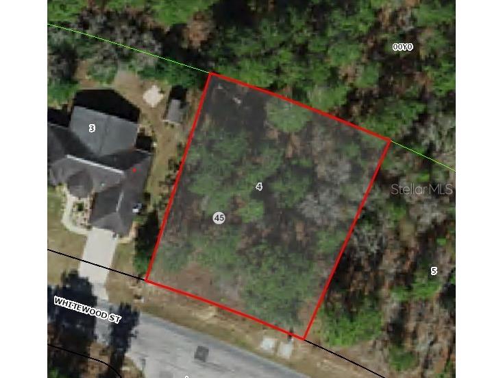 82 Whitewood Street Homosassa FL 34446 TB8398143 image1
