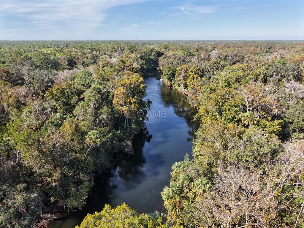 82 Young Drive Inglis FL 34449 OM711846 image4