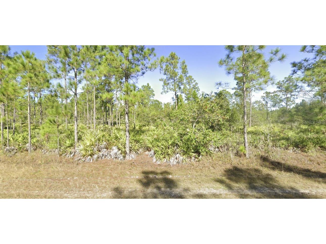 820 & 822 Portulaca Drive Indian Lake Estates FL 33855 - LAKE WALK-IN-WATER T3547356 image1