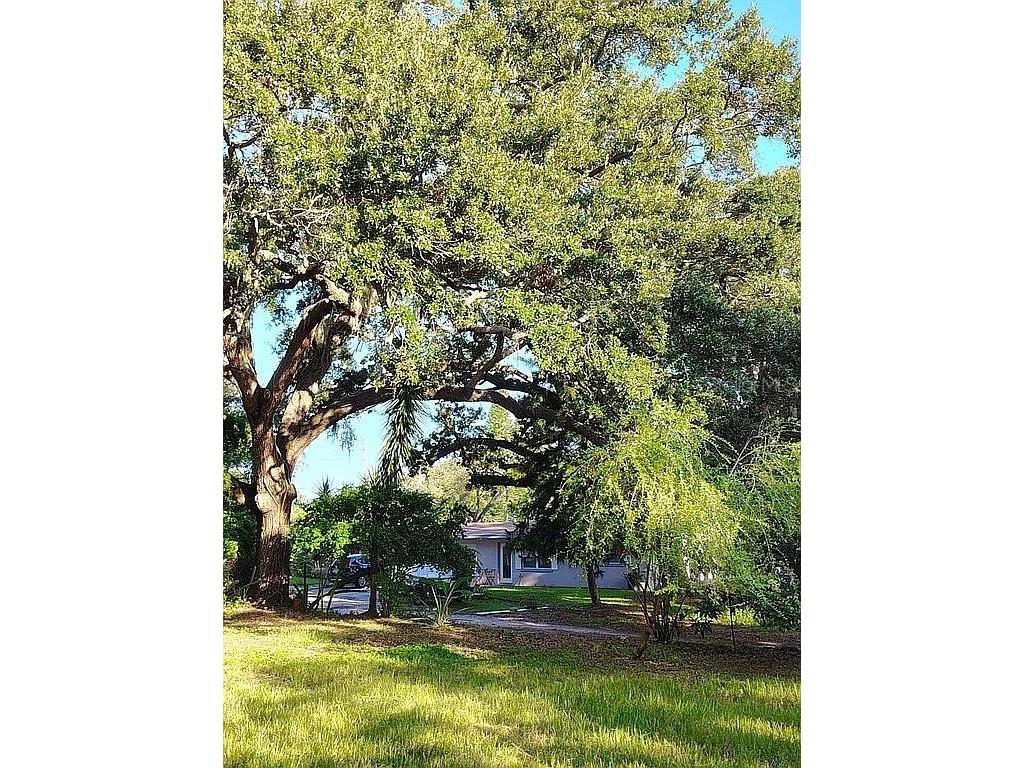 820 Bayou Avenue Tarpon Springs FL 34689 O6307483 image13