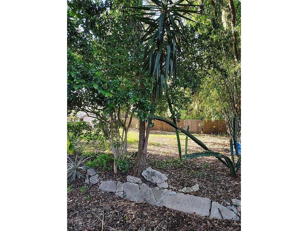 820 Bayou Avenue Tarpon Springs FL 34689 O6307483 image16