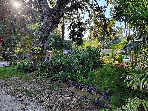 820 Bayou Avenue Tarpon Springs FL 34689 O6307483 image4