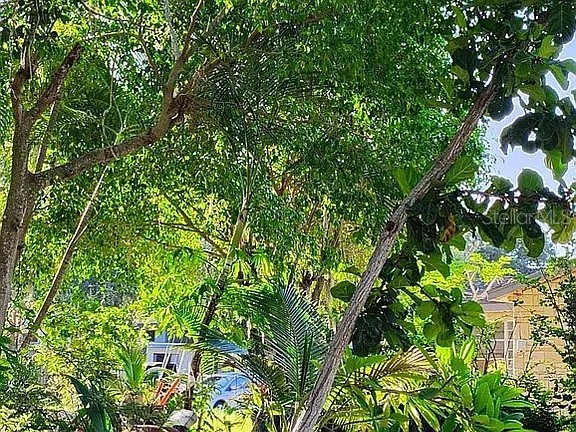 820 Bayou Avenue Tarpon Springs FL 34689 O6307483 image8