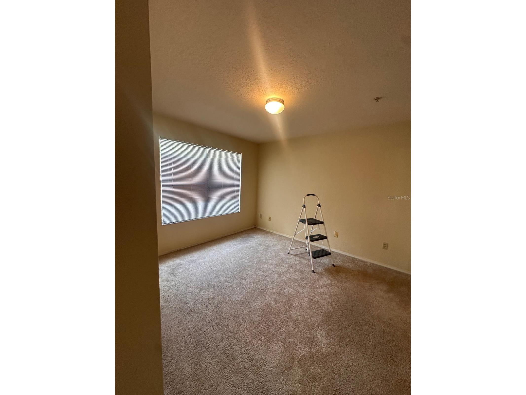 820 Camargo Way #207 Altamonte Springs FL 32714 S5147024 image12