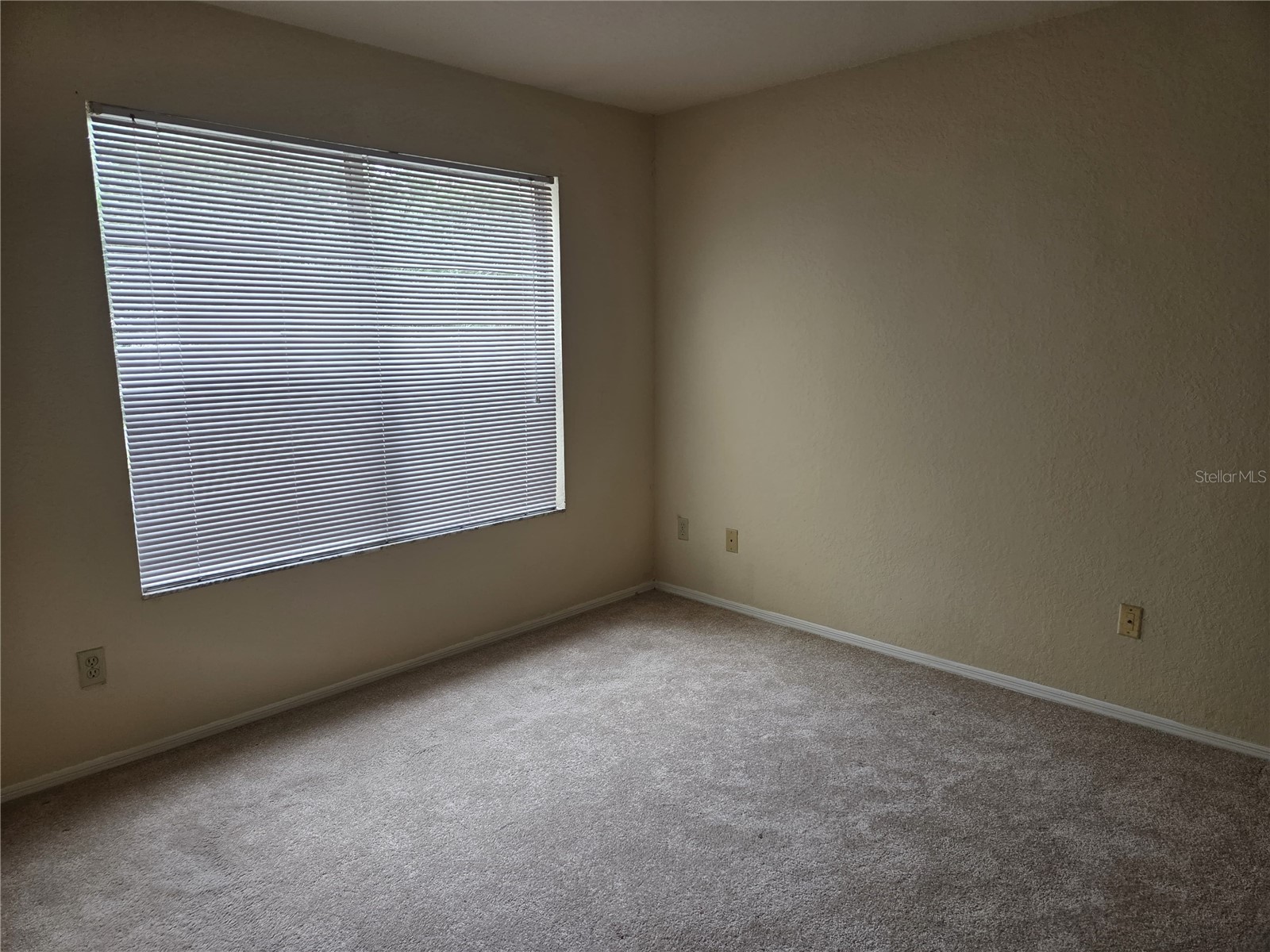 820 Camargo Way #207 Altamonte Springs FL 32714 S5147024 image34