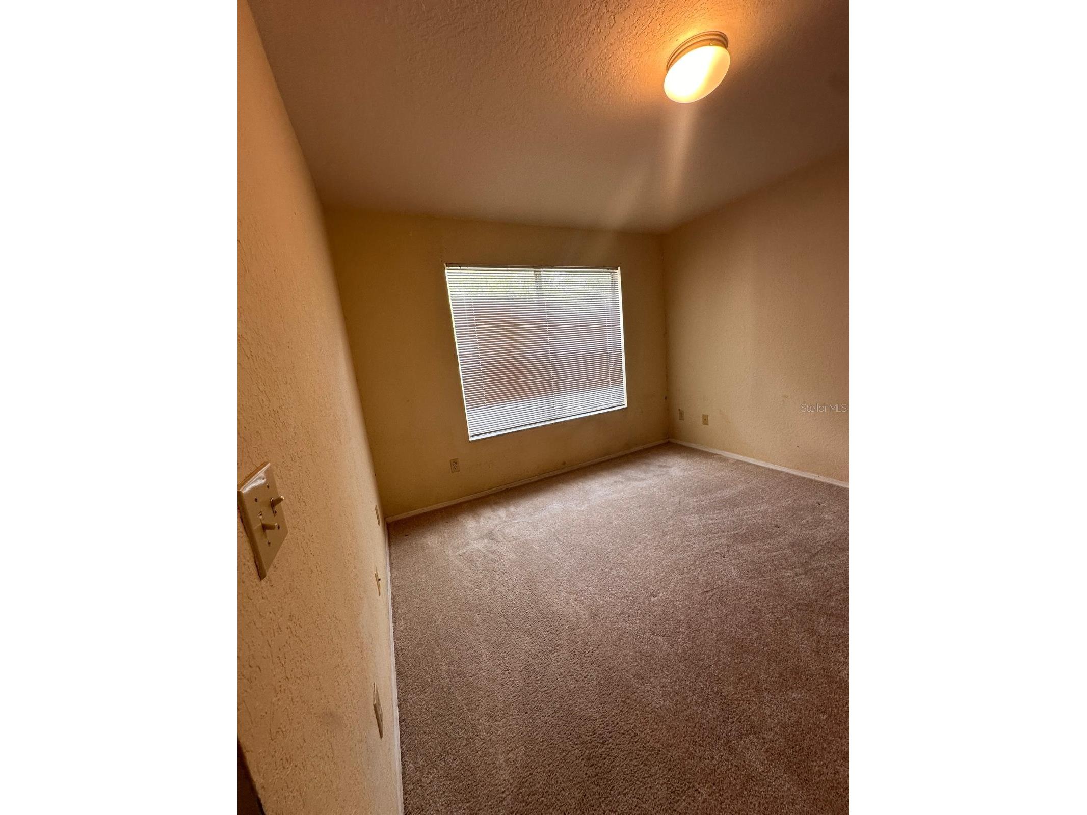 820 Camargo Way #207 Altamonte Springs FL 32714 S5147024 image5