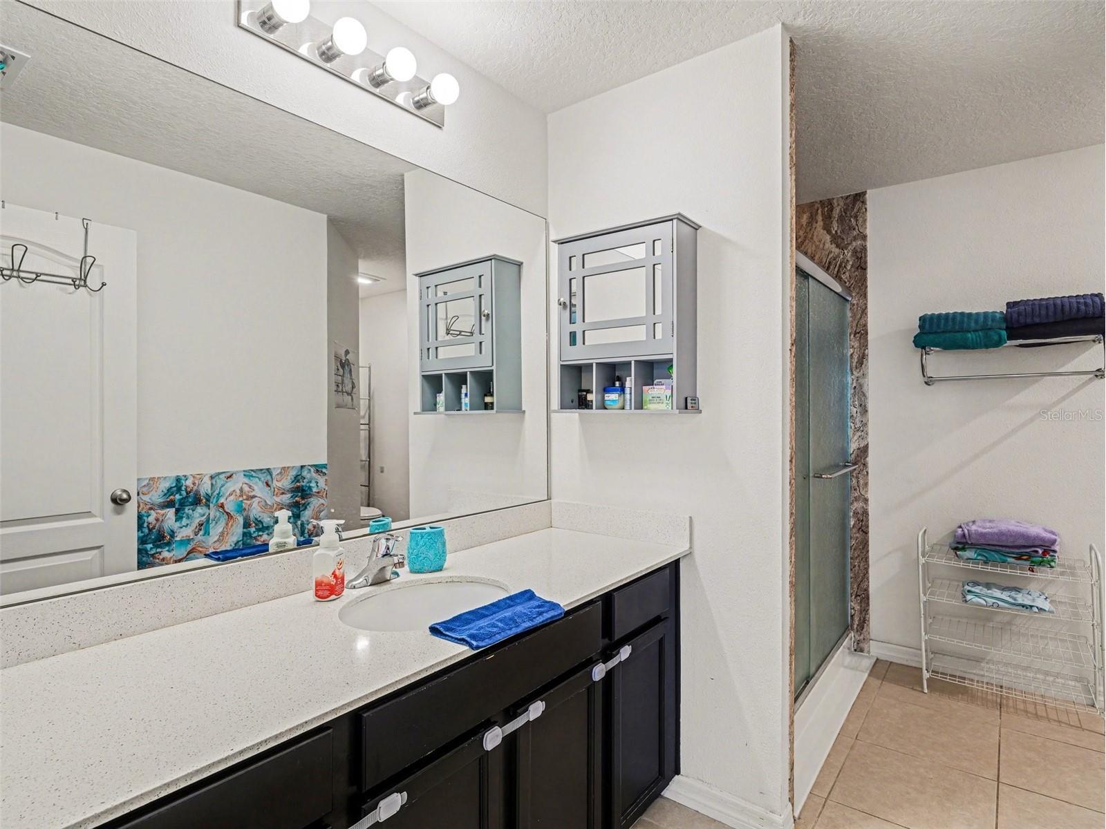 820 Chatham Walk Drive Ruskin FL 33570 TB8502969 image13