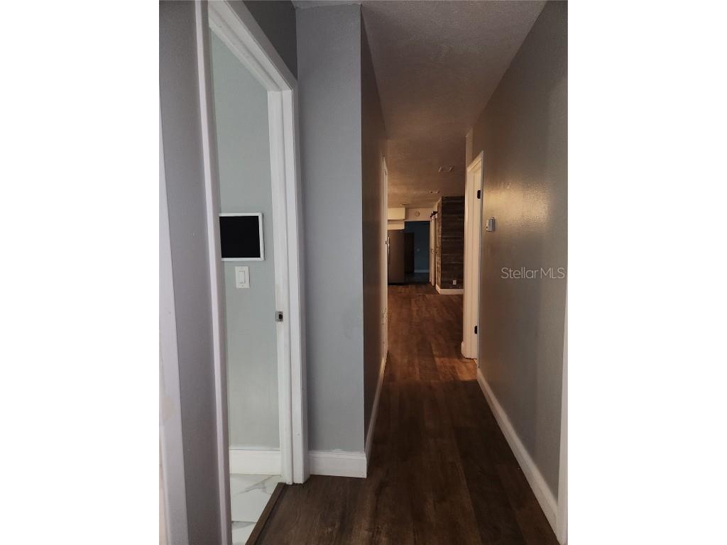 820 Crenshaw Lake Road Lutz FL 33548 TB8453386 image33