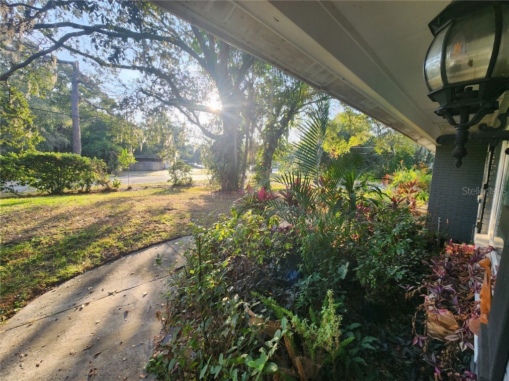 820 Crenshaw Lake Road Lutz FL 33548 TB8453386 image45