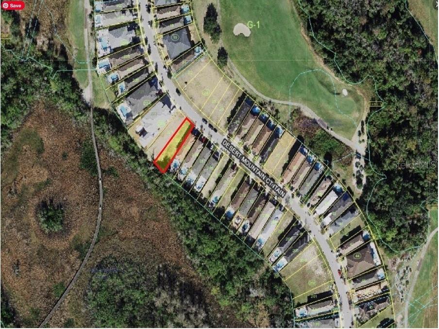 820 Desert Mountain Court Reunion FL 34747 O6203579 image1