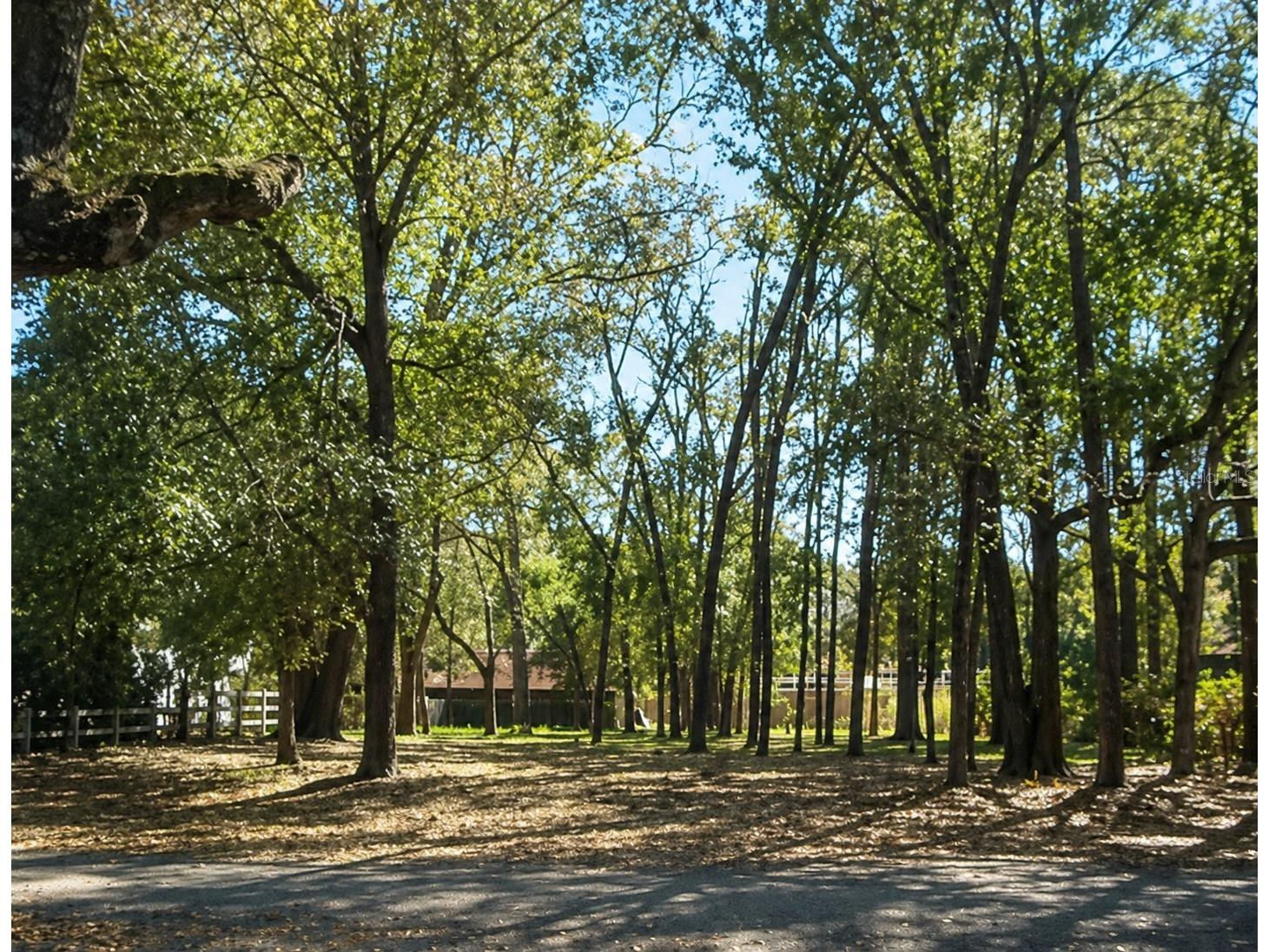 820 E Magnolia Drive Altamonte Springs FL 32701 O6402124 image1