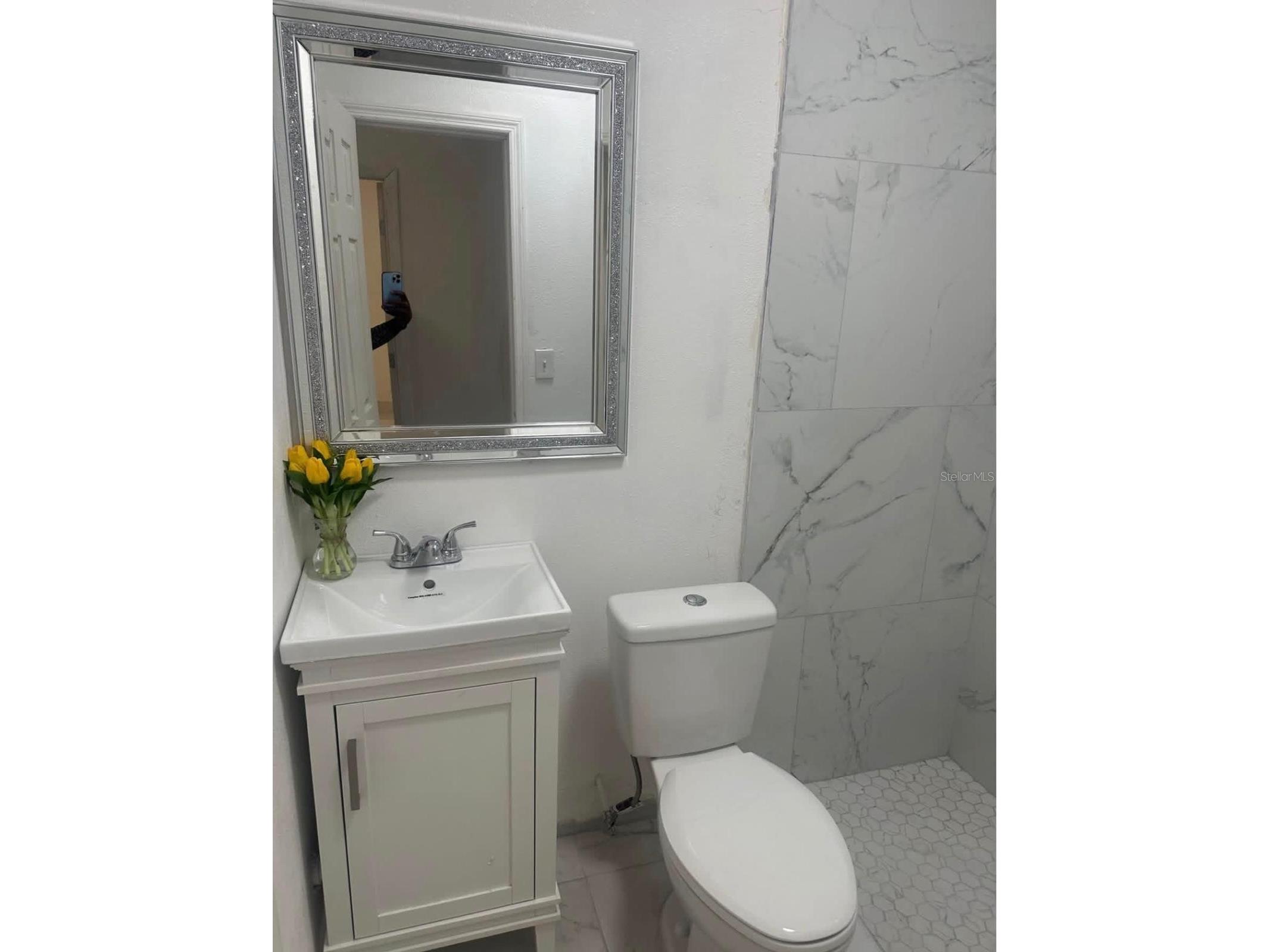 820 Galsworthy Avenue Orlando FL 32809 O6396277 image7